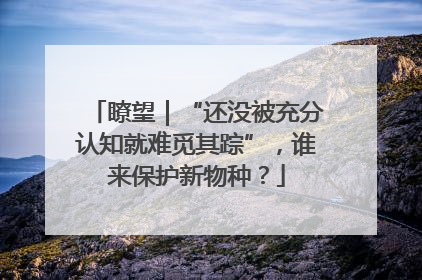 瞭望｜“还没被充分认知就难觅其踪”，谁来保护新物种？