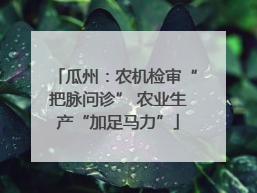 瓜州：农机检审“把脉问诊” 农业生产“加足马力”