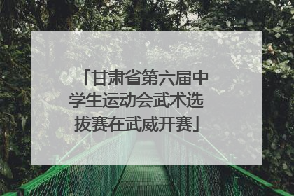 甘肃省第六届中学生运动会武术选拔赛在武威开赛