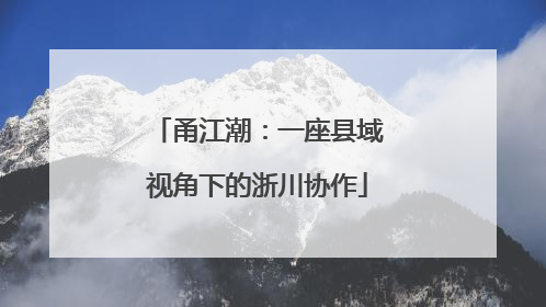 甬江潮：一座县域视角下的浙川协作