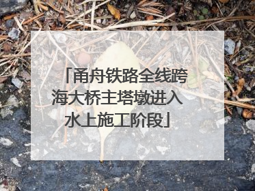 甬舟铁路全线跨海大桥主塔墩进入水上施工阶段