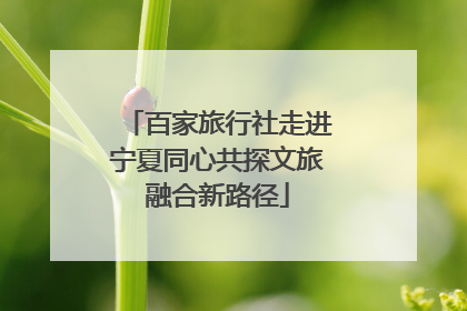 百家旅行社走进宁夏同心共探文旅融合新路径