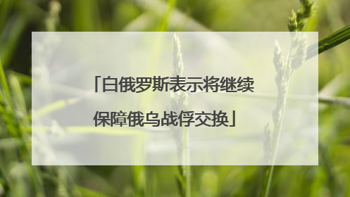 白俄罗斯表示将继续保障俄乌战俘交换
