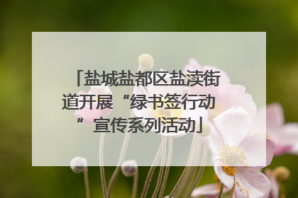 盐城盐都区盐渎街道开展“绿书签行动”宣传系列活动