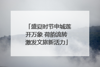 盛夏时节申城莲开万象 荷韵流转激发文旅新活力