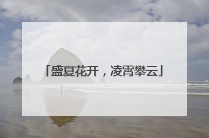 盛夏花开，凌霄攀云