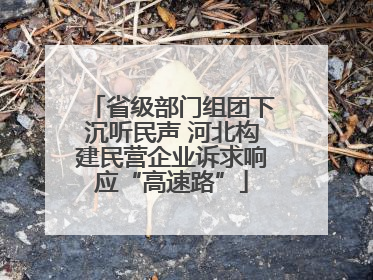 省级部门组团下沉听民声 河北构建民营企业诉求响应“高速路”