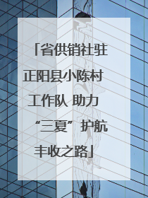 省供销社驻正阳县小陈村工作队 助力“三夏”护航丰收之路