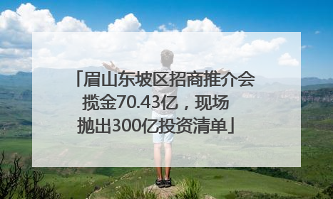 眉山东坡区招商推介会揽金70.43亿，现场抛出300亿投资清单