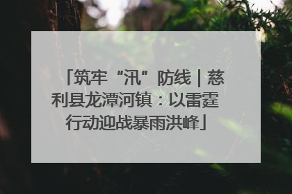 筑牢“汛”防线｜慈利县龙潭河镇：以雷霆行动迎战暴雨洪峰
