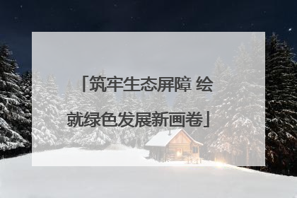 筑牢生态屏障 绘就绿色发展新画卷