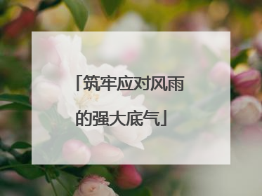 筑牢应对风雨的强大底气