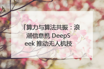 算力与算法共振：浪潮信息携 DeepSeek 推动无人机技术在舟山落地