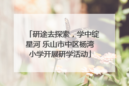 研途去探索，学中绽星河 乐山市中区杨湾小学开展研学活动
