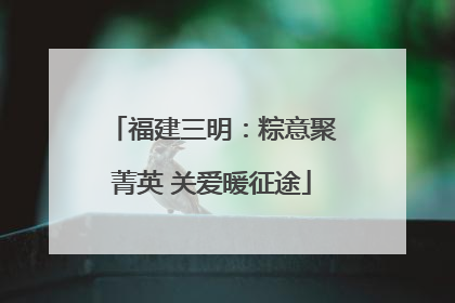 福建三明：粽意聚菁英 关爱暖征途