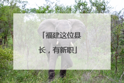 福建这位县长，有新职