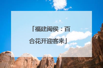 福建闽侯：百合花开迎客来
