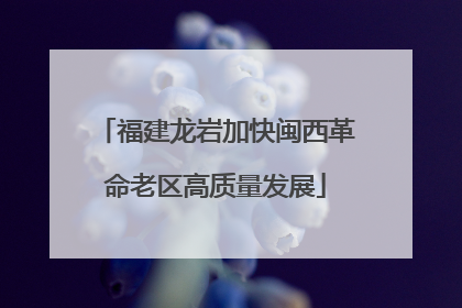 福建龙岩加快闽西革命老区高质量发展