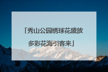秀山公园绣球花盛放 多彩花海引客来