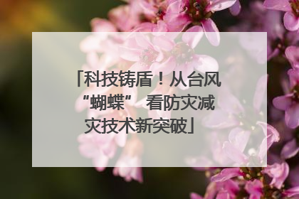 科技铸盾！从台风“蝴蝶” 看防灾减灾技术新突破