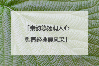 秦韵悠扬润人心 梨园经典展风采