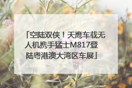 空陆双侠！天鹰车载无人机携手猛士M817登陆粤港澳大湾区车展