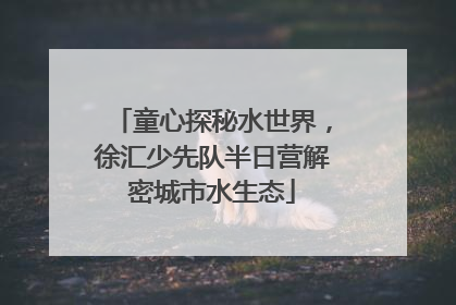 童心探秘水世界，徐汇少先队半日营解密城市水生态