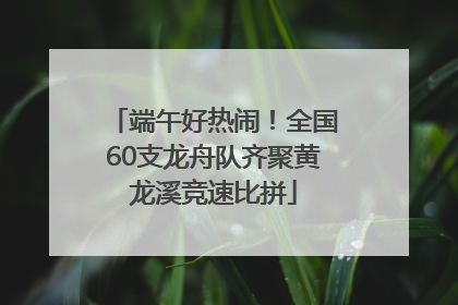 端午好热闹！全国60支龙舟队齐聚黄龙溪竞速比拼