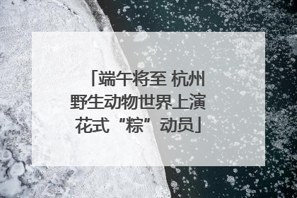 端午将至 杭州野生动物世界上演花式“粽”动员