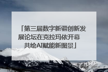 第三届数字新疆创新发展论坛在克拉玛依开幕 共绘AI赋能新图景