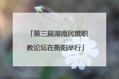 第三届湖南民盟职教论坛在衡阳举行