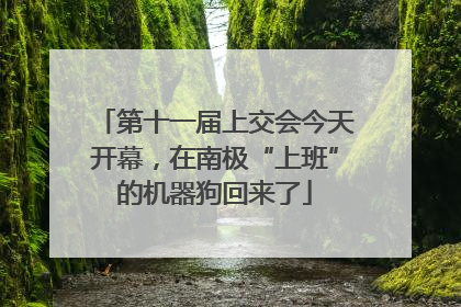 第十一届上交会今天开幕，在南极“上班”的机器狗回来了