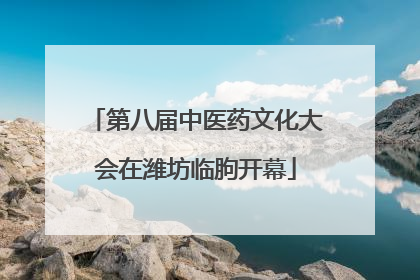 第八届中医药文化大会在潍坊临朐开幕