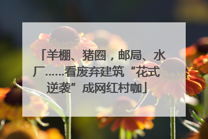 羊棚、猪圈，邮局、水厂……看废弃建筑“花式逆袭”成网红村咖