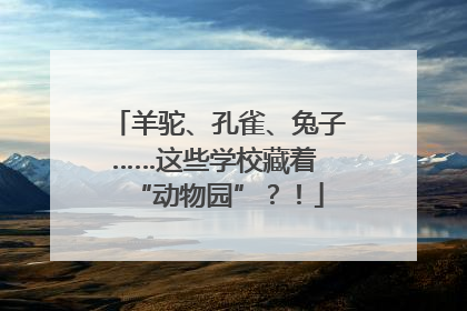 羊驼、孔雀、兔子……这些学校藏着 “动物园”？！