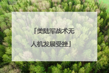 美陆军战术无人机发展受挫