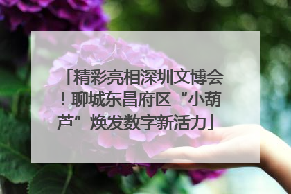精彩亮相深圳文博会！聊城东昌府区“小葫芦”焕发数字新活力