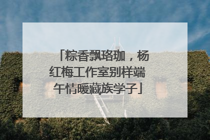 粽香飘珞珈，杨红梅工作室别样端午情暖藏族学子