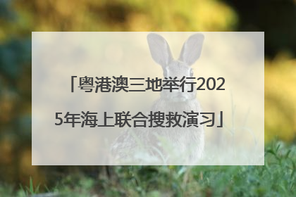 粤港澳三地举行2025年海上联合搜救演习