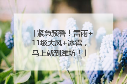 紧急预警！雷雨+11级大风+冰雹，马上就到潍坊！