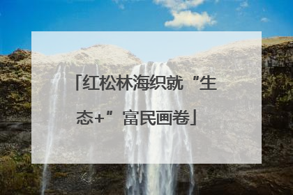 红松林海织就“生态+”富民画卷