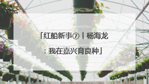 红船新事⑦丨杨海龙：我在嘉兴育良种