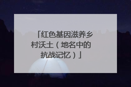 红色基因滋养乡村沃土（地名中的抗战记忆）