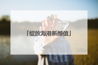 绽放海港新颜值