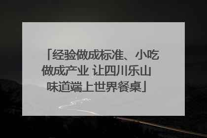 经验做成标准、小吃做成产业 让四川乐山味道端上世界餐桌