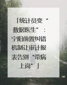 统计员变“数据医生”：宁阳前置纠错机制让审计报表告别“带病上岗”