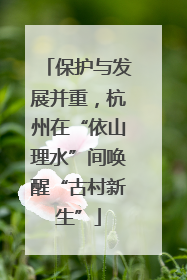 保护与发展并重，杭州在“依山理水”间唤醒“古村新生”