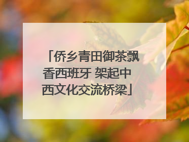 侨乡青田御茶飘香西班牙 架起中西文化交流桥梁
