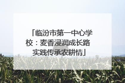 临汾市第一中心学校：麦香浸润成长路 实践传承农耕情
