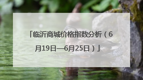 临沂商城价格指数分析（6月19日—6月25日）
